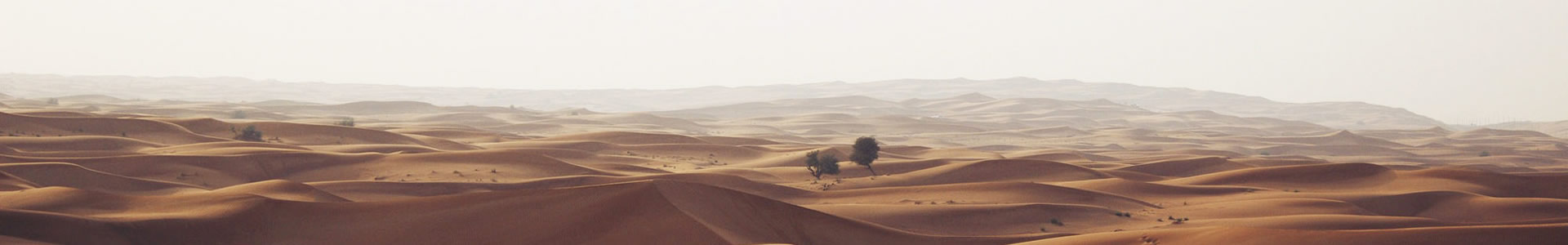ϷԶƼ޹˾